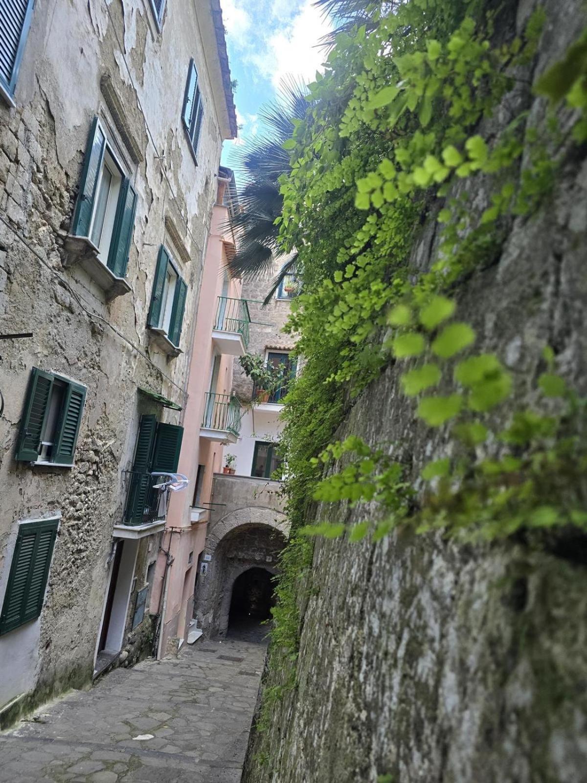 ソレント La Dimora Di Corneliaアパートホテル エクステリア 写真